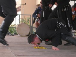 Milano 2008